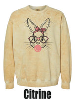 Bunny Gum Comfort Colors - Colorblast Crewneck Sweatshirt (P.1545)