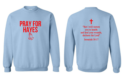 Pray For Hayes Unisex Gildan Crewneck Sweatshirt (P.18000)