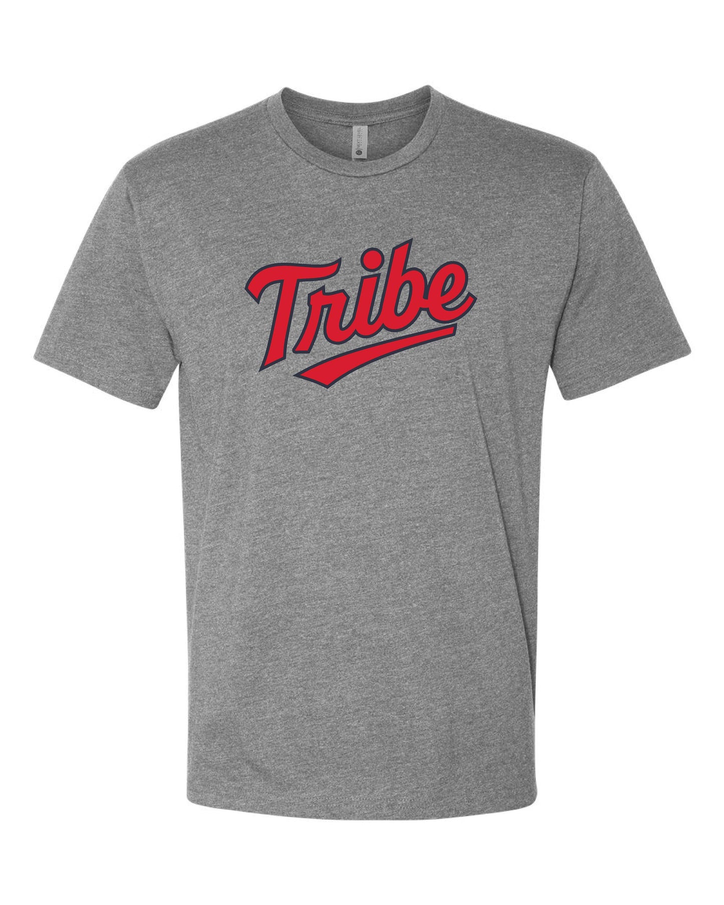 TBSA NEXT LEVEL T-Shirt (P.6210/3312)