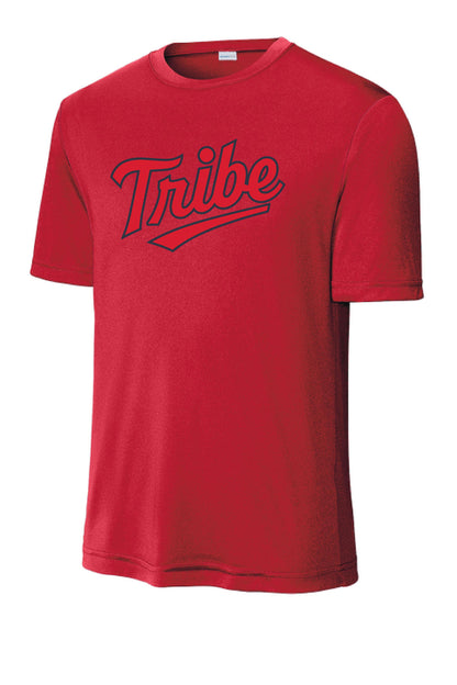 TBSA Sport-Tek Unisex Dri-Fit T-Shirt (P.ST350/YST350)