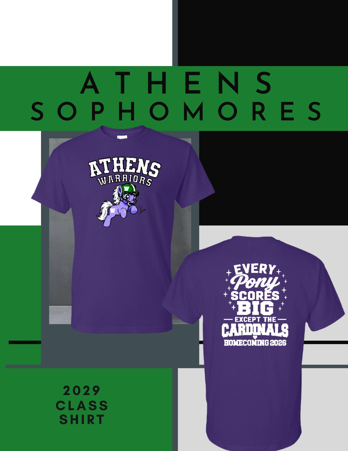 AHS Class of 2029 Homecoming T-Shirt (P.8000)