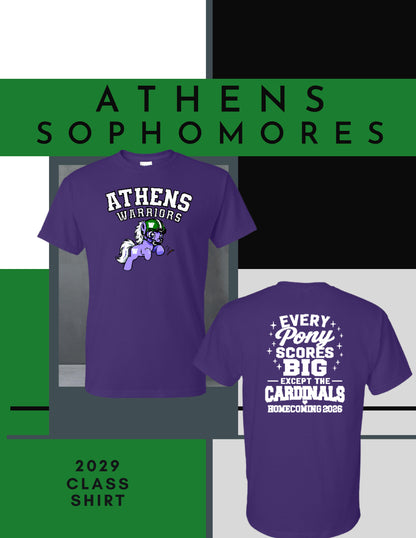 AHS Class of 2029 Homecoming T-Shirt (P.8000)