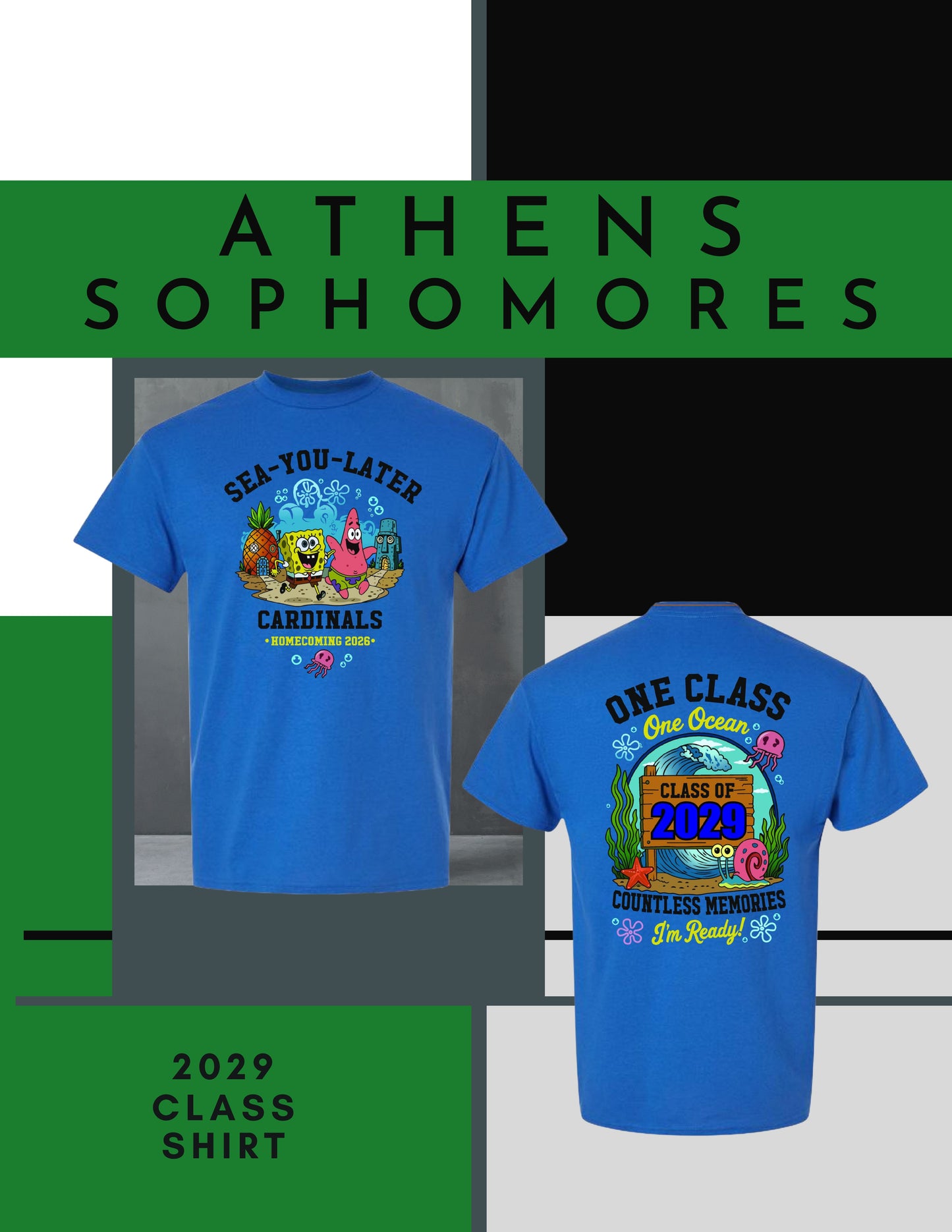 AHS Class of 2029 Homecoming T-Shirt (P.8000)