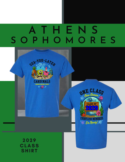 AHS Class of 2029 Homecoming T-Shirt (P.8000)
